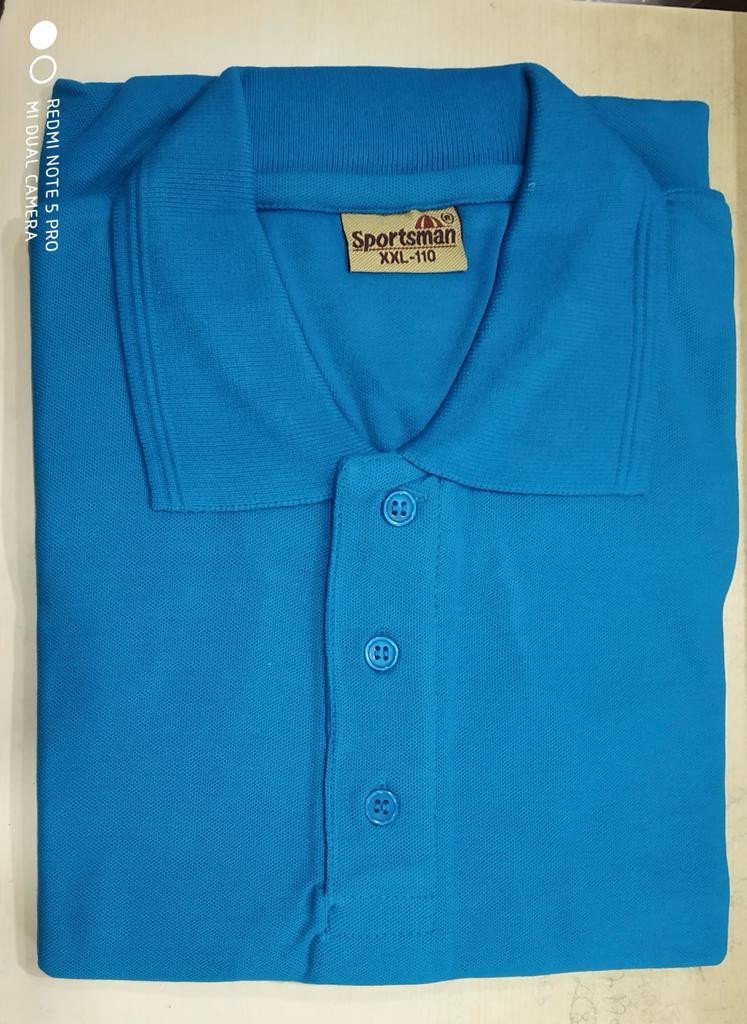 Sportsman Polo neck T-Shirt supplier - 230 Gsm - Sky Blue