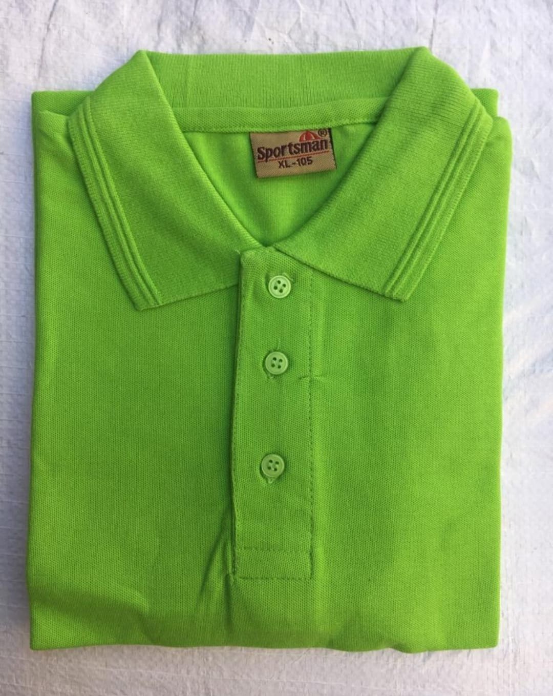 Sportsman Polo neck T-Shirt supplier - 230 Gsm - Parrot Green